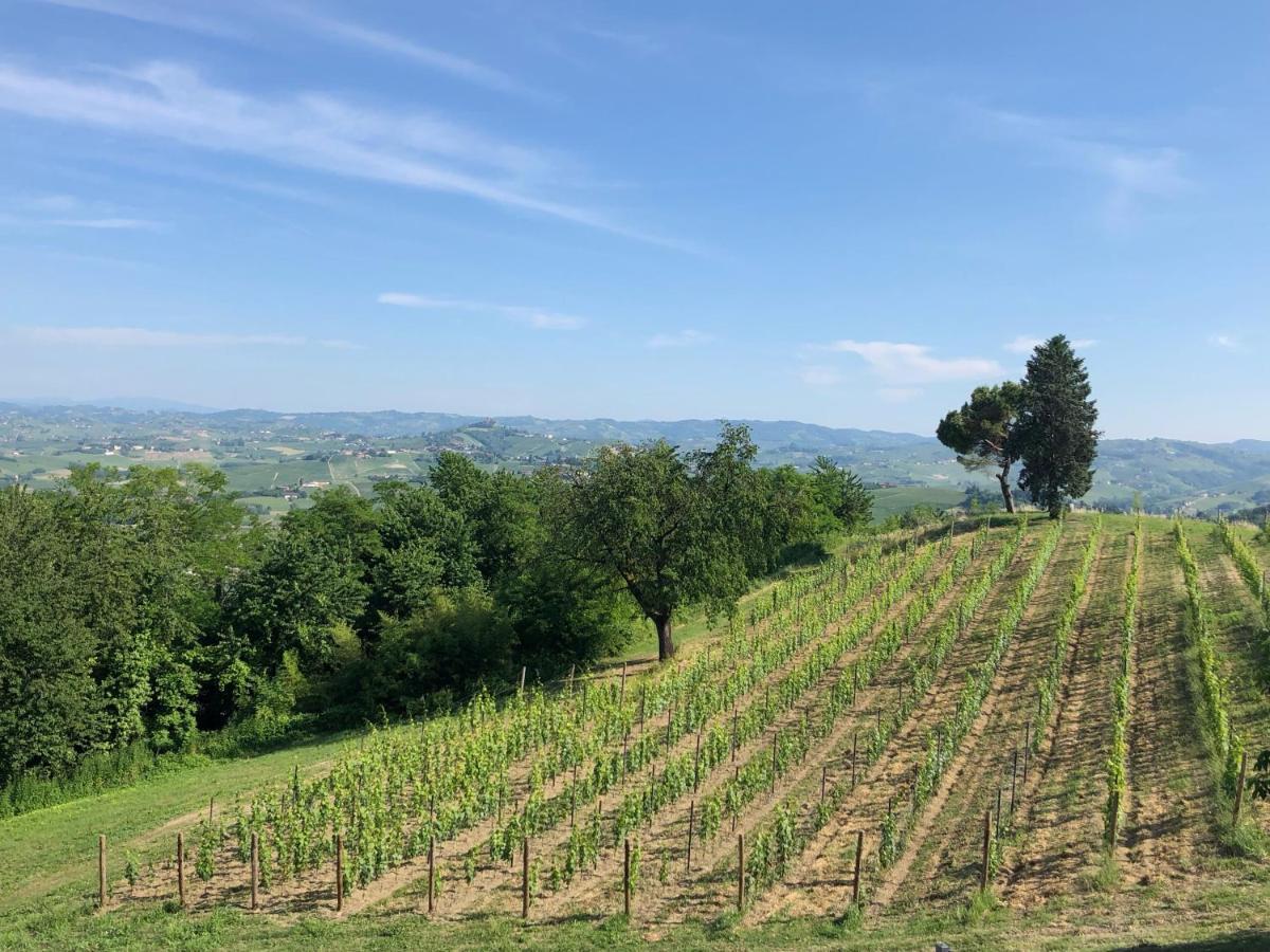 Cascina San Michele Bed & Breakfast Costigliole d'Asti Exterior photo