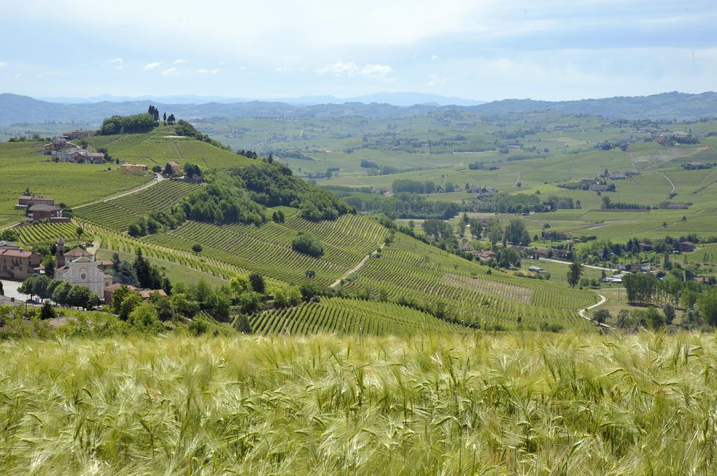 Cascina San Michele Bed & Breakfast Costigliole d'Asti Exterior photo