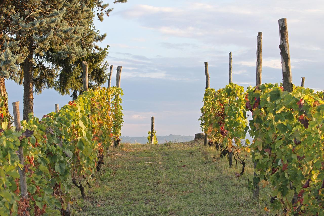 Cascina San Michele Bed & Breakfast Costigliole d'Asti Exterior photo